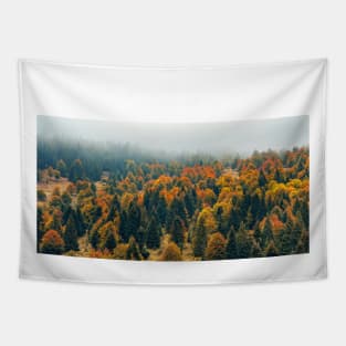 Autumn colors in the mountains Tapestry