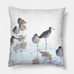 Birds of a Feather Pillow