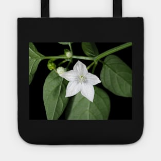 White hot pepper flower (Capsicum annuum cultivar) close-up Tote