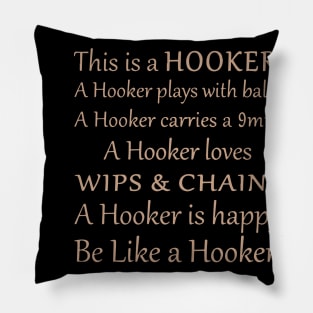 this is a hooler crochet Pillow
