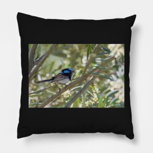 Blue Wren Pillow