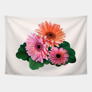 Pink and Orange Gerbera Daisies Tapestry