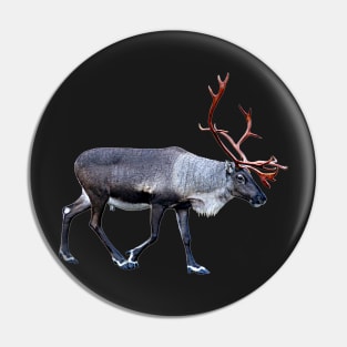 Santa Claus Reindeer Pin