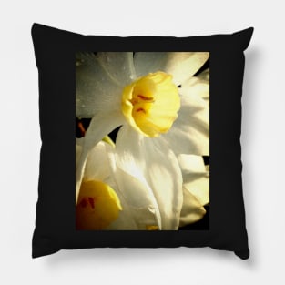 Daffodil Flower Pillow