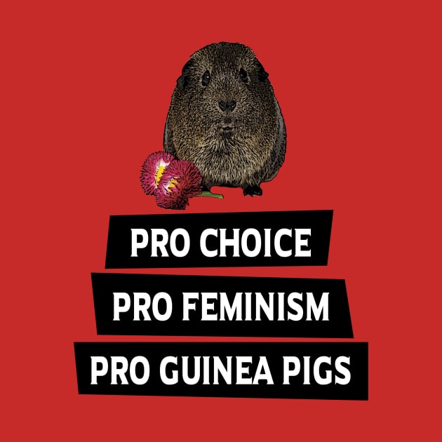 Pro Choice, Pro Feminism, Pro Guinea Pigs by BasicBeach