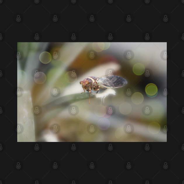 Discover Cicada on Pineapple Tree in Summer Light - Digital Artist - T-Shirt