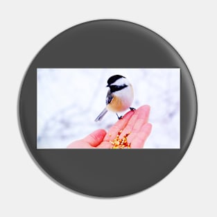 Hand Feeding a Chickadee Pin