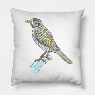 Noisy Miner Pillow