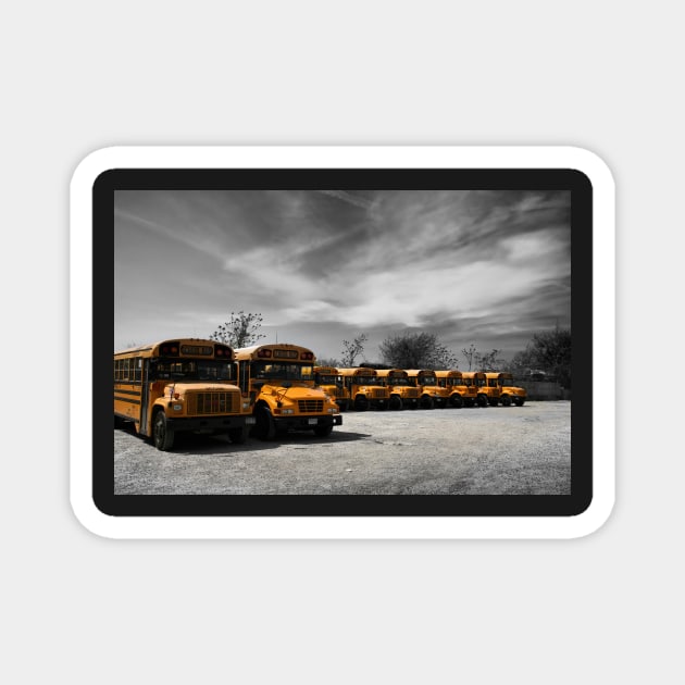 School buses waiting in a parking lot in Brooklyn, New York City Magnet by Reinvention