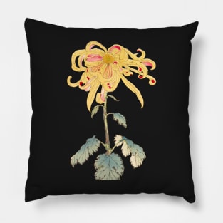 Gold Chrysanthemum 2 - Hasegawa - Traditional Japanese style - Botanical Illustration Pillow