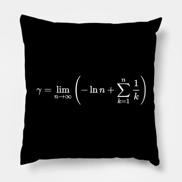 euler constant, calculus and math Pillow by NoetherSym