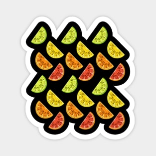 Citrus Neon Lights Magnet