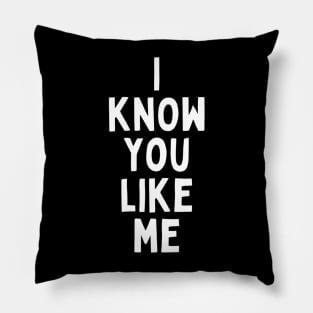 I Know You Like Me Flirting Valentines Romantic Dating Desired Love Passion Care Relationship Goals Typographic Slogans for Man’s & Woman’s Pillow