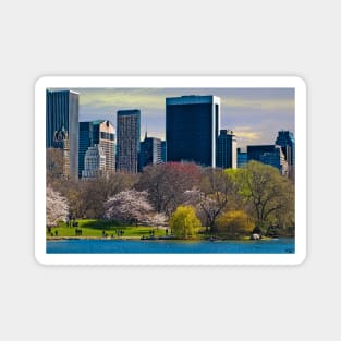 Springtime Arrives In Central Park, New York, USA Magnet