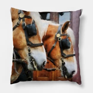 Horses - Clydesdale Closeup Pillow