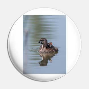 Pied-billed Grebe Pin