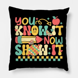 Groovy You Know It Now Show It Testing Day  Kids Funny Pillow