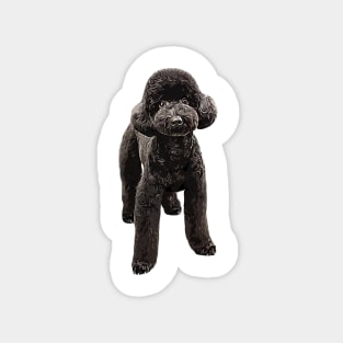 Toy Poodle Gorgeous Mini Dog Magnet