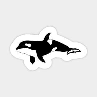 Orca Swimming Magnet