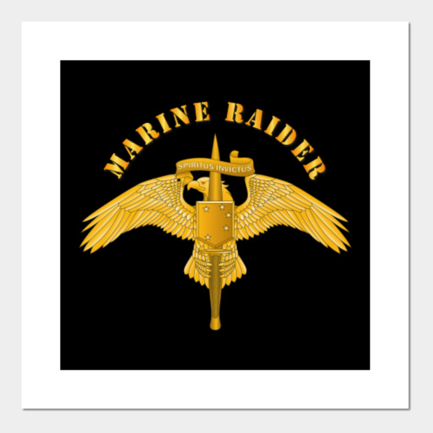 US USMC MARINE CORPS SPECIAL FORCES MARSOC RAIDER REGIMENT BADGE PIN GRAY