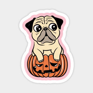 Pumpkin Pug Magnet