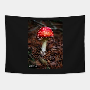 Mushroom Tapestry