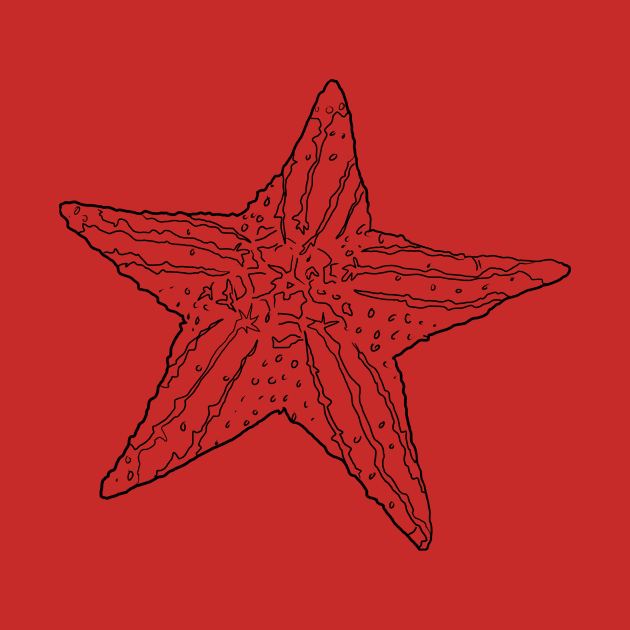 Big ole' Starfish by paintchips