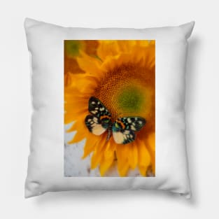 Iridescent Butterfly On Sunflower Pillow