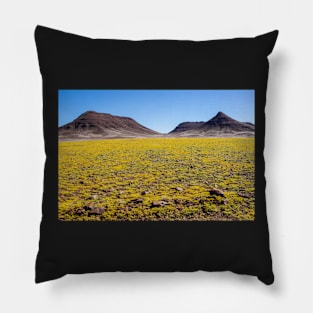 Yellow fields. Pillow