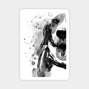 Black and White Half Faced Beagle Magnet