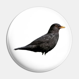 Blackbird Pin