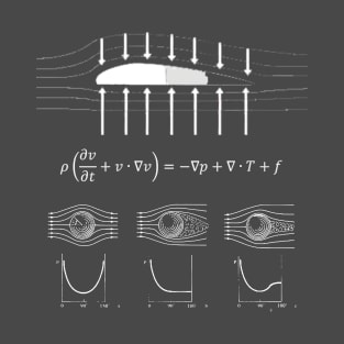 Navier-Stokes Equation T-Shirt