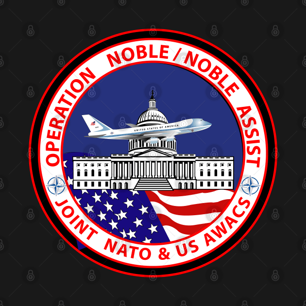 Operation Noble Eagle - ONE - 911 by twix123844