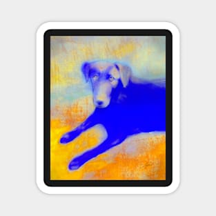 Dog In Blue And Yellow Magnet