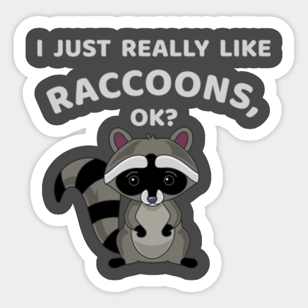 I just really like raccoons, ok? Trash Panda Sticker