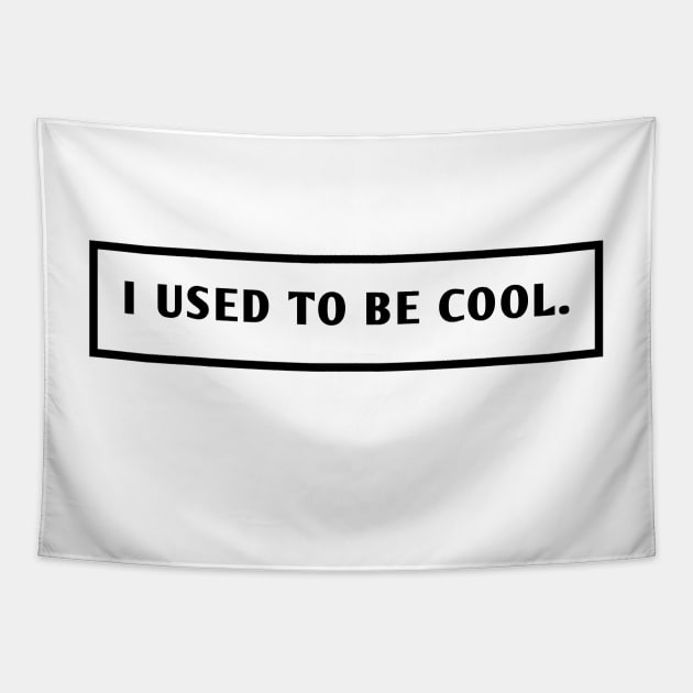 I Used To Be Cool Tapestry by BlackMeme94