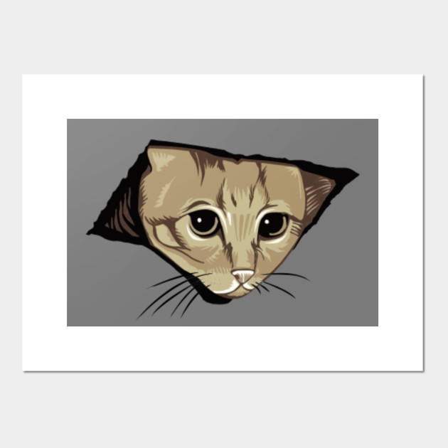 Ceiling Cat
