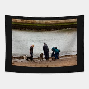 Dog walkers in Whitby Tapestry