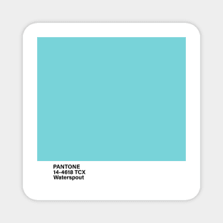 PANTONE 14-4618 TCX Waterspout Magnet