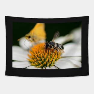 Black and White Bee Photobombed by a Skipper Tapestry