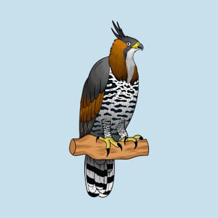Ornate hawk eagle bird cartoon illustration T-Shirt