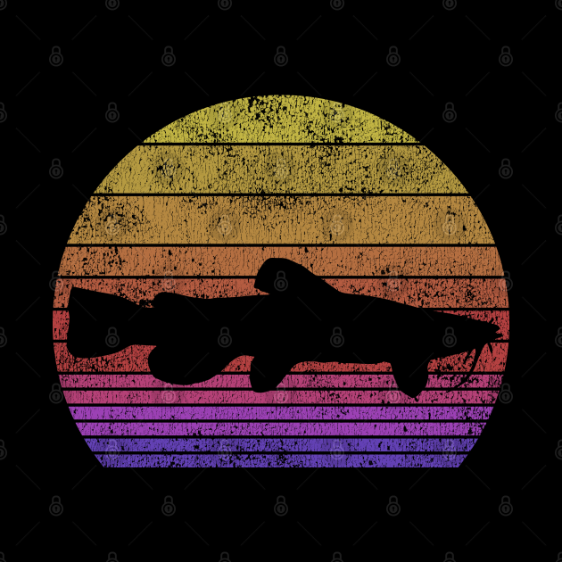 Catfishing Retro Sunset Catfish Fisherman Gift - Catfish Fishing Gifts