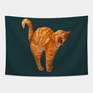 Orange Stretch Tapestry