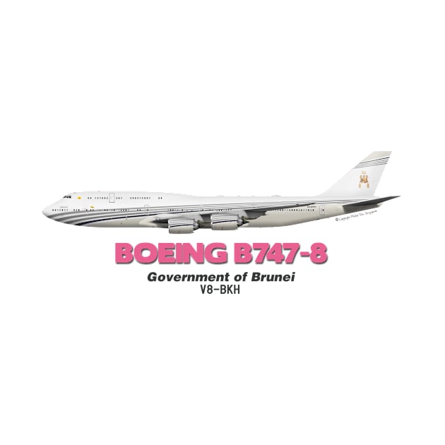 Boeing B747-8 - Government of Brunei by TheArtofFlying