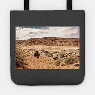 Arches National Park, Moab Utah Tote