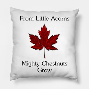 From Little Acorns Two Pillow