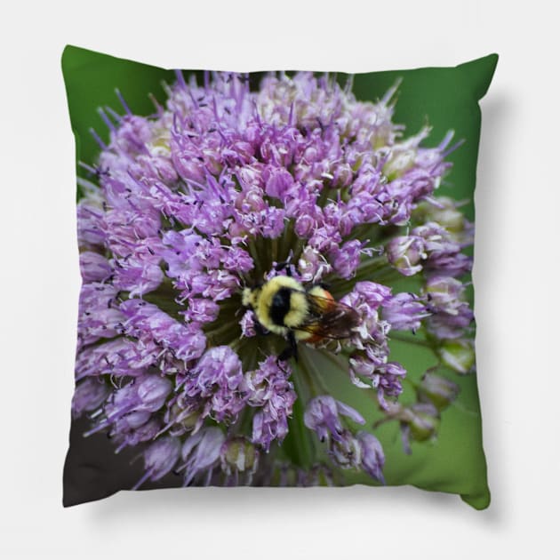 Bee doing it's thing. Pillow by CanadianWild418