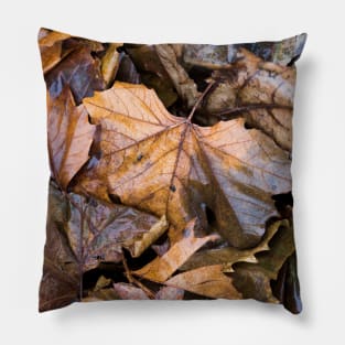 Colorful Autumn leaves Pillow