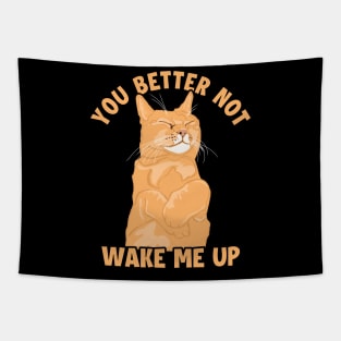 You Better Not Wake Me Up Cat Mom Cat Lovers Funny Cat Tapestry