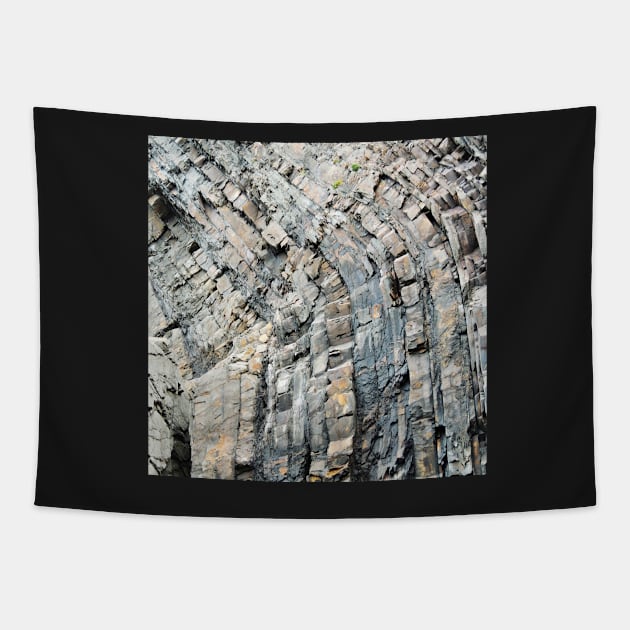 Hartland Rocks Tapestry by AlexaZari